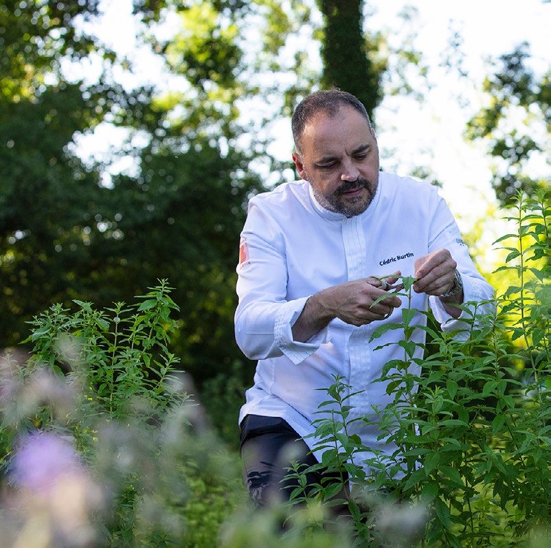 Cédric Burtin dans le potager du restaurant